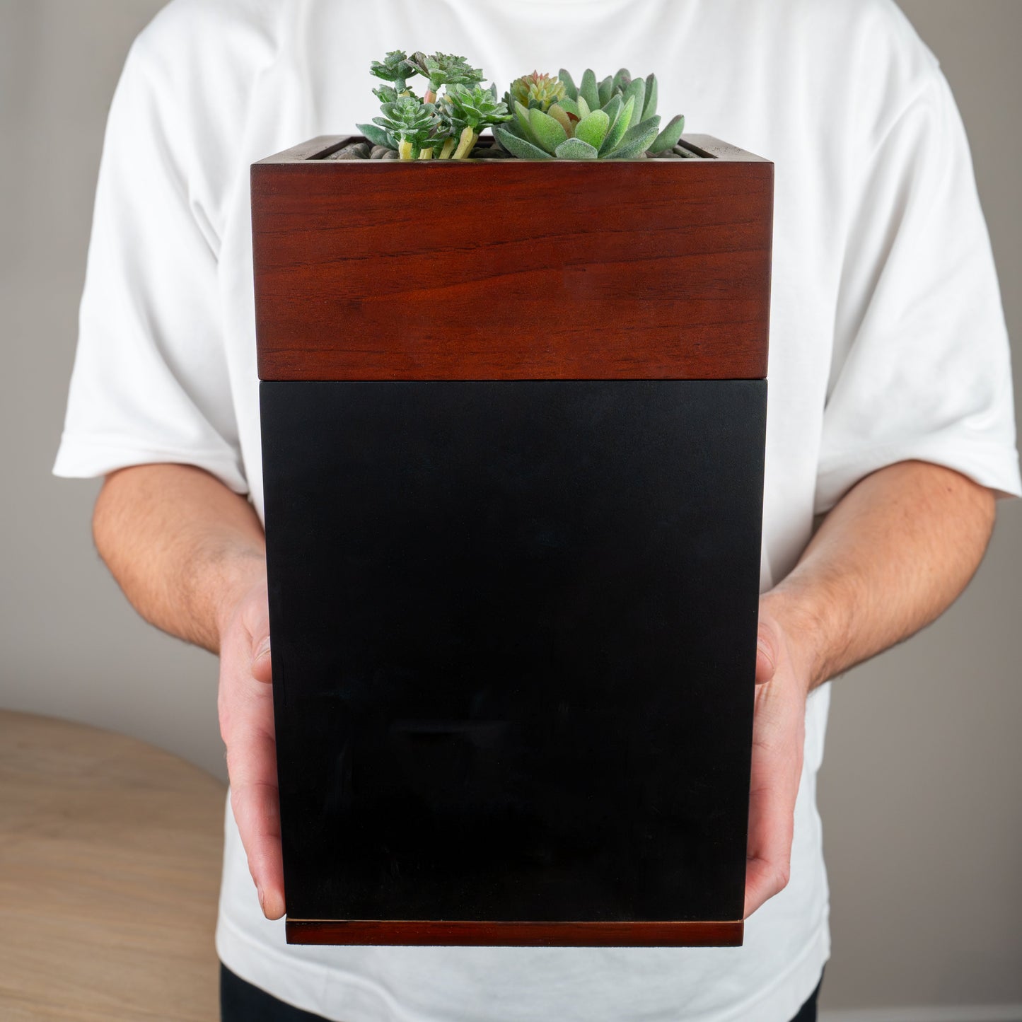 Person holding a wooden urn with planter with succulents against a plain background