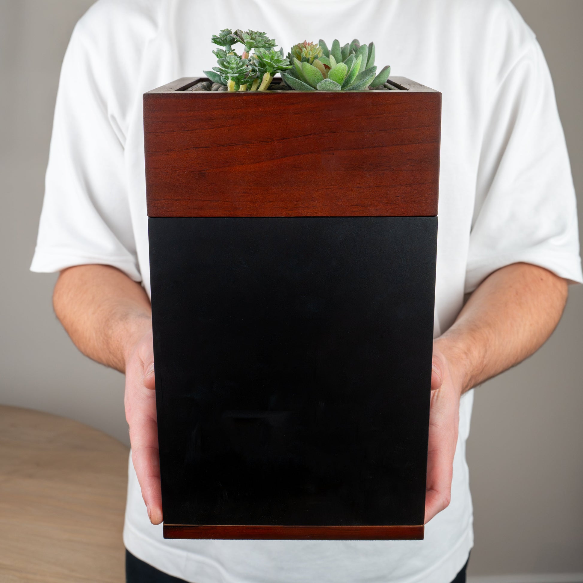 Person holding a wooden urn with planter with succulents against a plain background