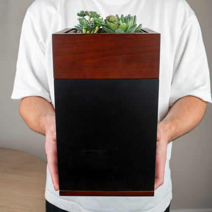 Person holding a wooden urn with planter with succulents against a plain background